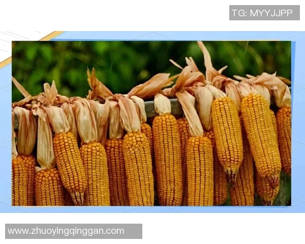 掌握足球发球技巧的全面指南与实用方法分享